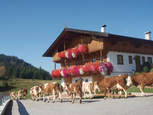 Wildschönau Österreich Aktionscode Booking.com