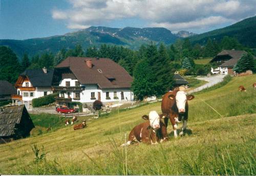 Austria Booking.com