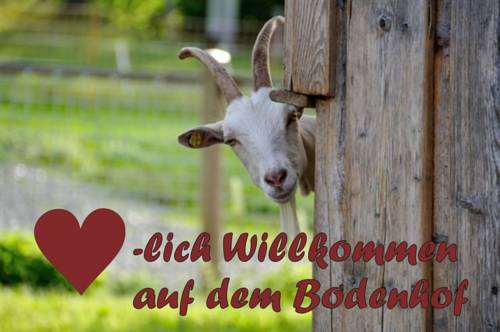 Fieberbrunn Codice Promozionale Austria Booking.com